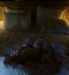 veroni22ka Altpins Profile Picture