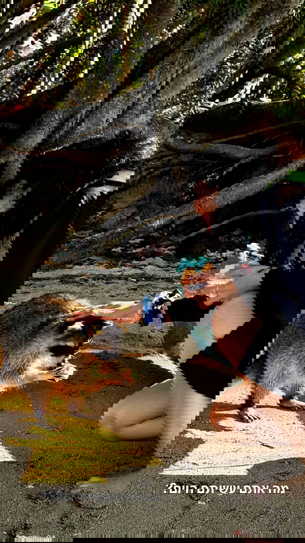 biton__adi biton__adi archive image