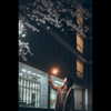 rakukoo Altpins Profile Picture