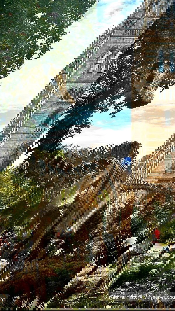 taylor.creeden taylor.creeden archive image