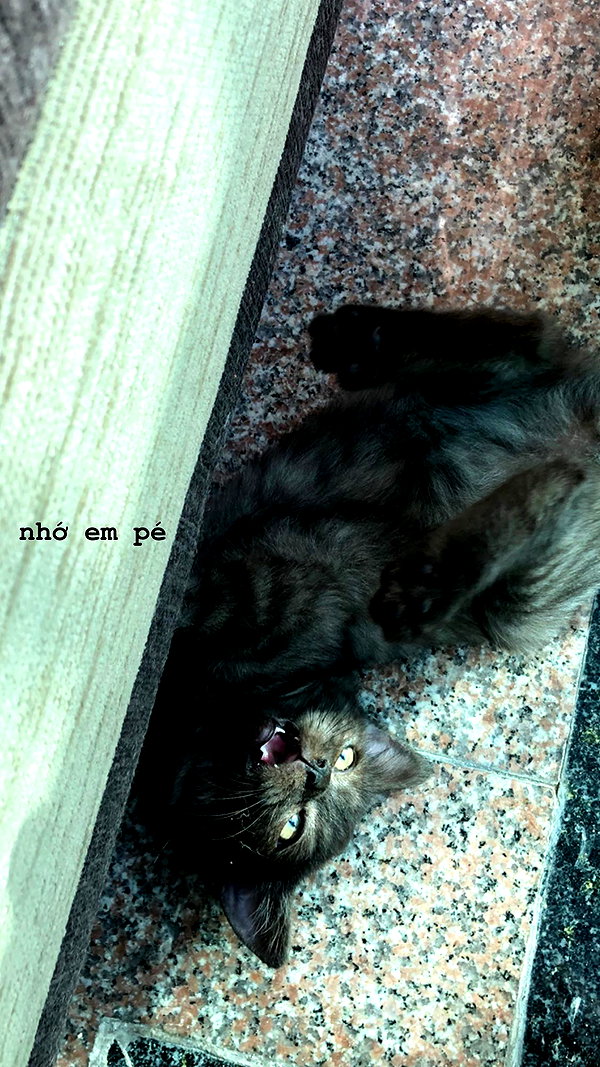 Archived image from @nhuthuuy on Instagram