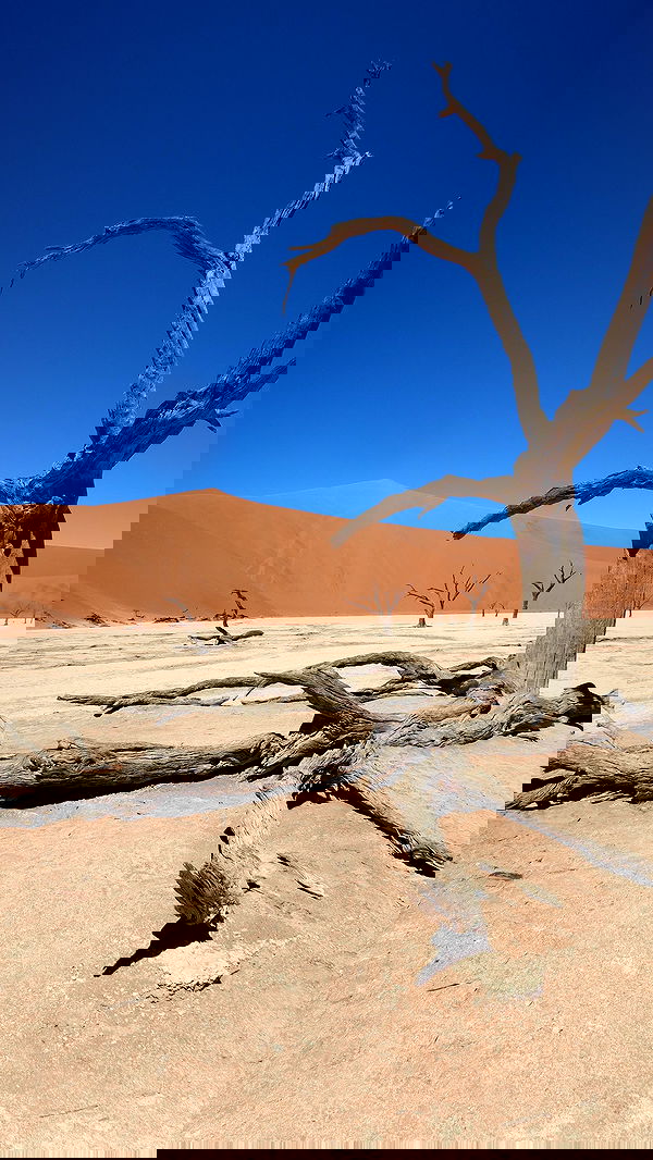 taylor.creeden taylor.creeden archive image