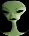 catl0verr69 Altpins Profile Picture