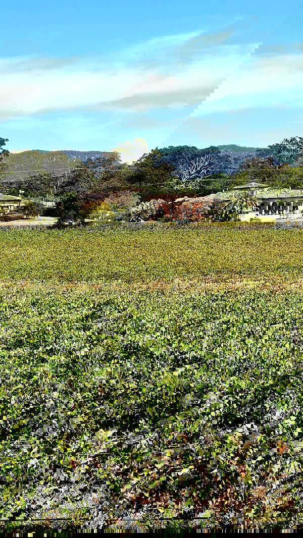 taylor.creeden taylor.creeden archive image