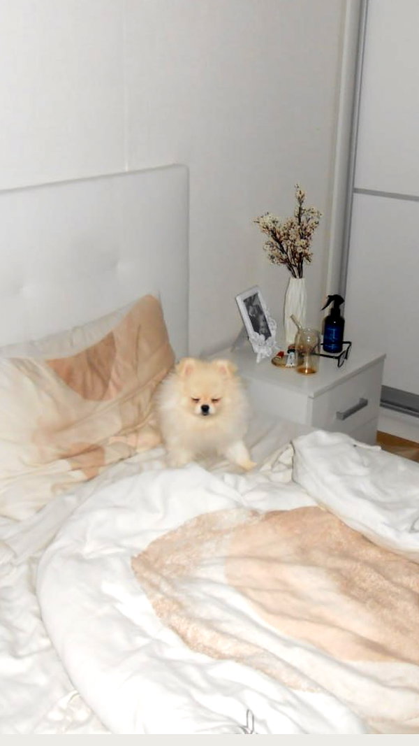 imshigh_ imshigh_ archive image
