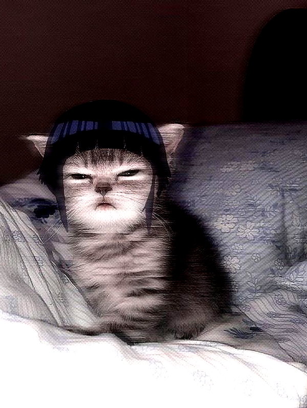 bakabakafuwa instagram image archive image