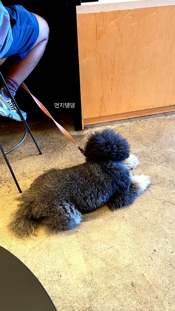 daxbin instagram image archive image