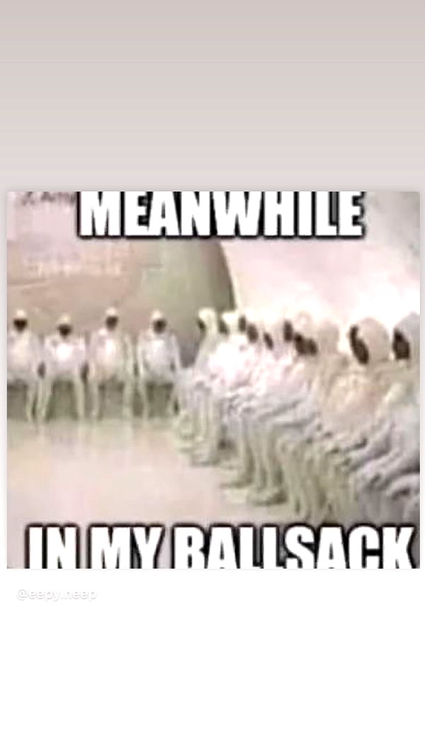 babynympho_archive babynympho_archive archive image