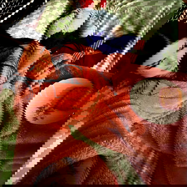 jtilb2 image ~ Altpins