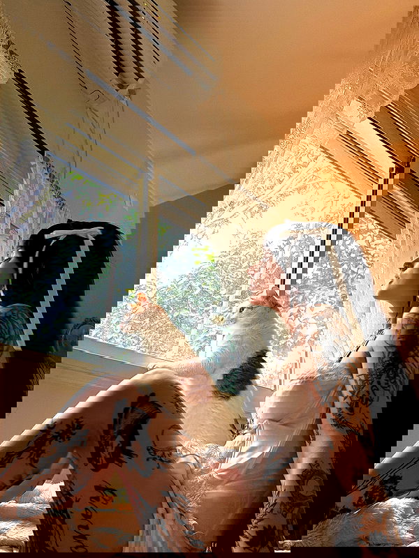 strawberryshanz strawberryshanz archive image