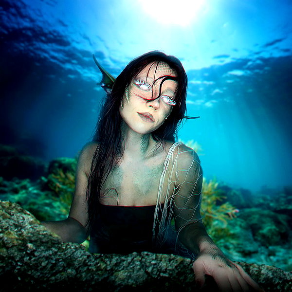 parkenharbor instagram image archive image