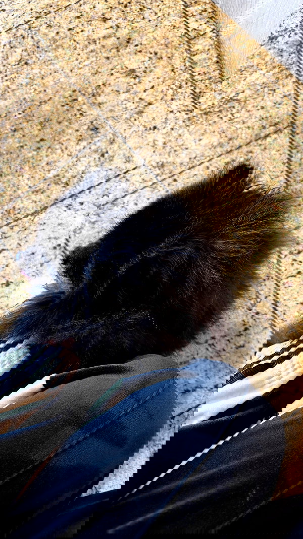 katrina.zaiceva katrina.zaiceva archive image