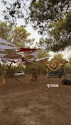 roni_ackerman Altpins Profile Picture