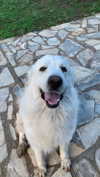 analuvillarreal Altpins Profile Picture
