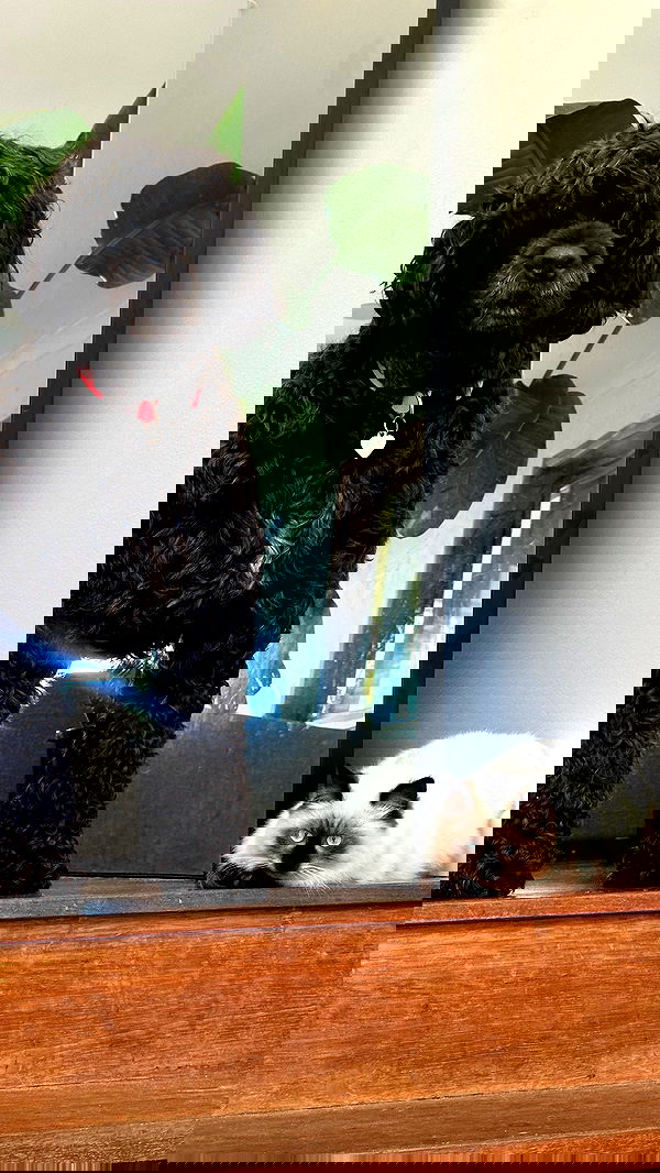 taylor.creeden taylor.creeden archive image