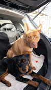 olivia.mathers Altpins Profile Picture
