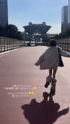 nagichan_doll Altpins Profile Picture