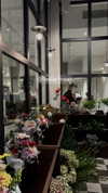 annabottoo Altpins Profile Picture