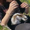 forestowwwl Altpins Profile Picture