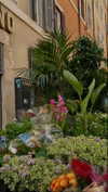 federica.piccinni Altpins Profile Picture