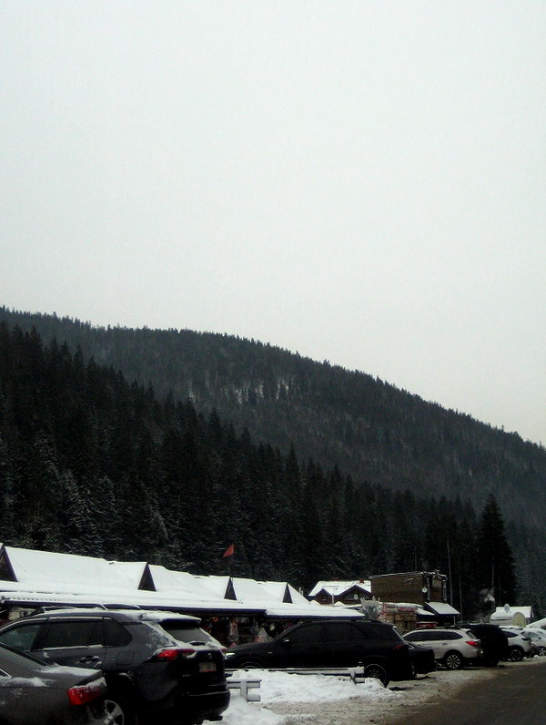 yutashik yutashik archive image
