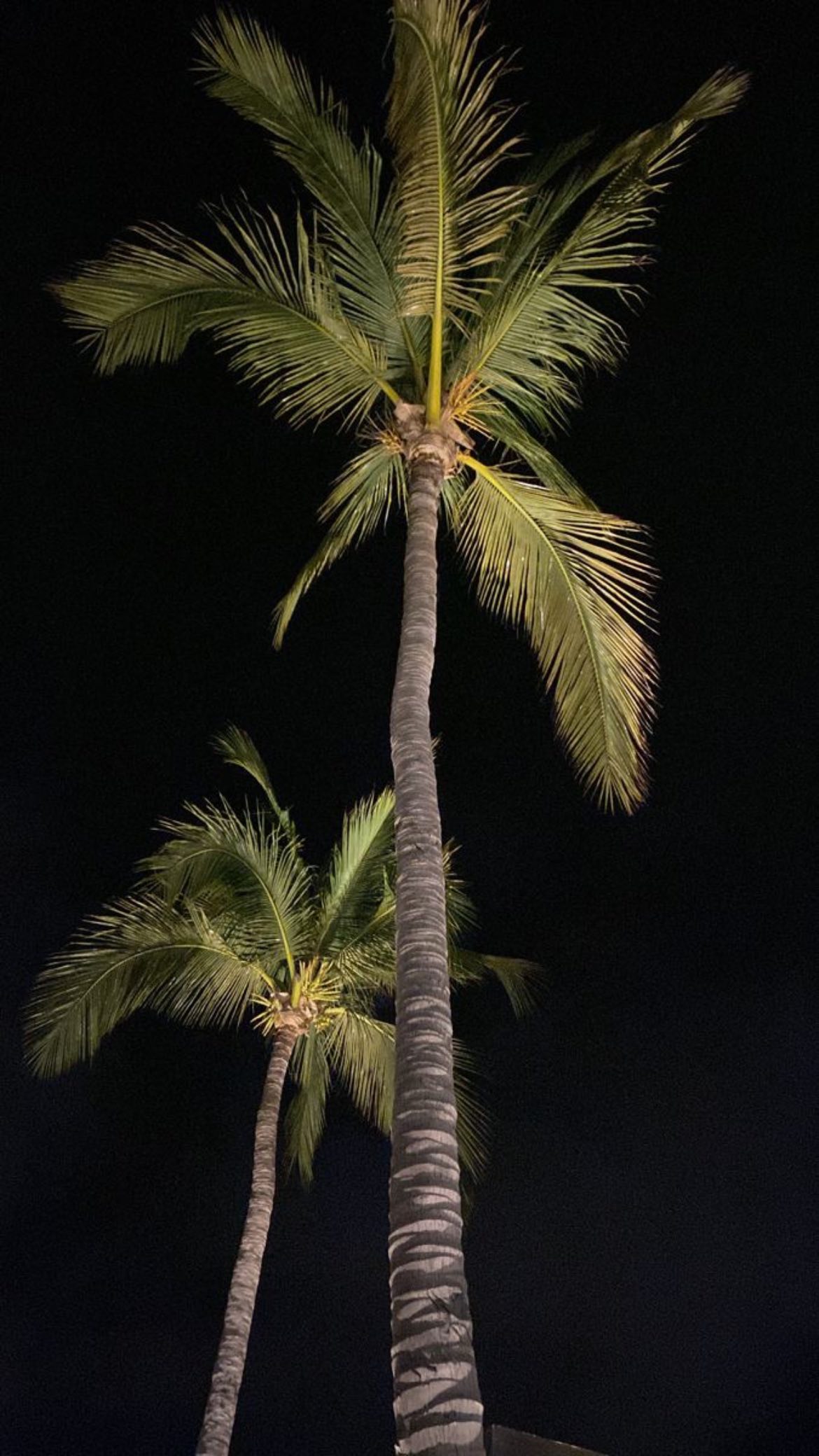 shunli__mei instagram image archive image