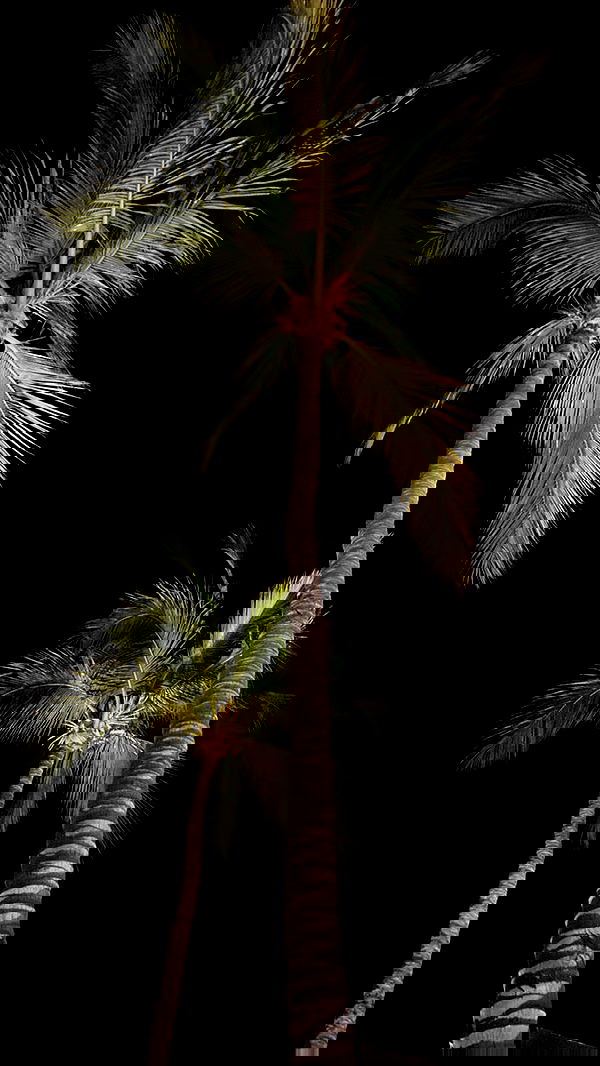 shunli__mei image ~ Altpins