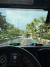 rouxroux.tv Altpins Profile Picture