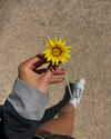 emmamarshalluk Altpins Profile Picture