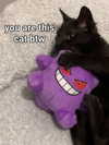 milkiwifey Altpins Profile Picture