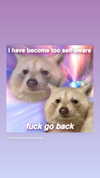 haileylayfield Altpins Profile Picture