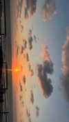 shai_landau_ Altpins Profile Picture