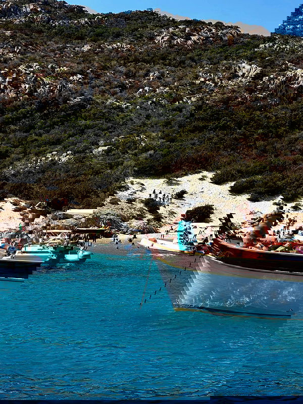 taylor.creeden taylor.creeden archive image