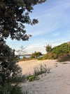 daisy_r_19 Altpins Profile Picture