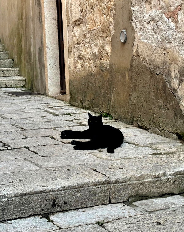 meiiisame instagram image archive image