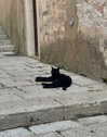 meiiisame Altpins Profile Picture