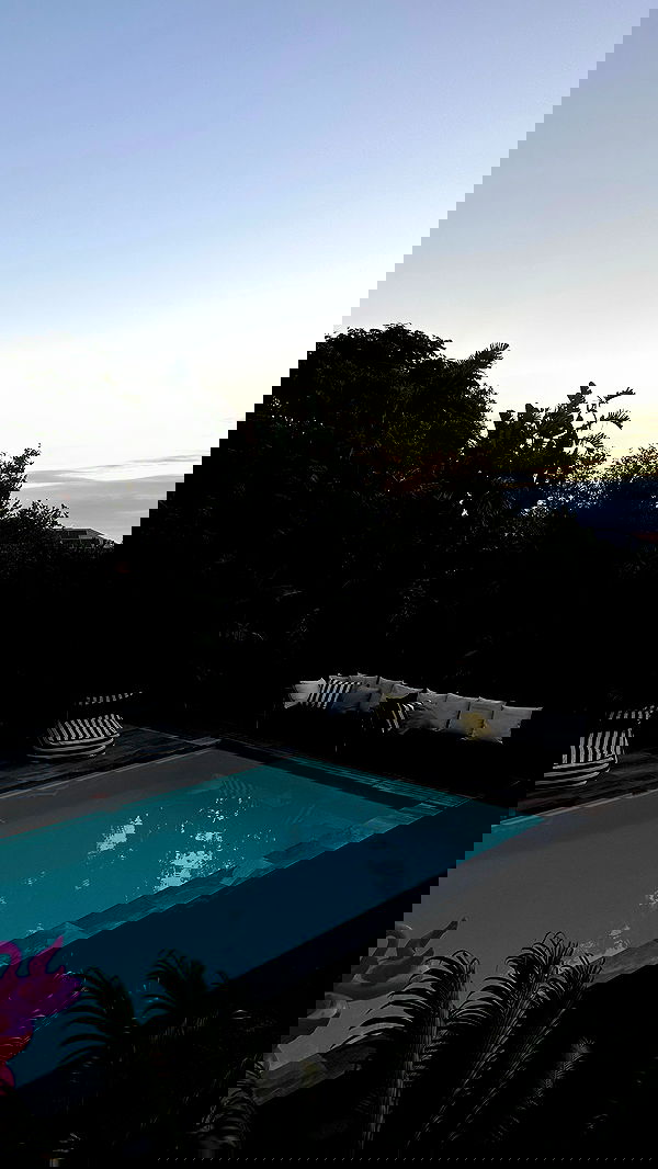 taylor.creeden taylor.creeden archive image