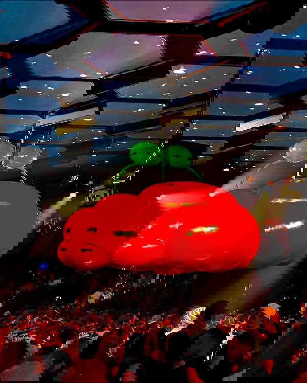 taylor.creeden taylor.creeden archive image