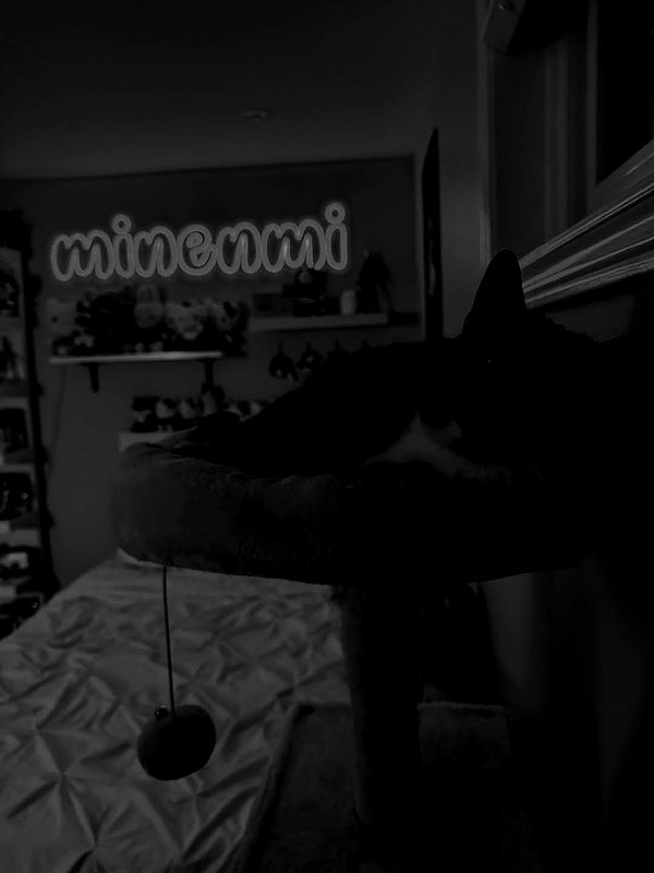 minenmi_ minenmi_ archive image