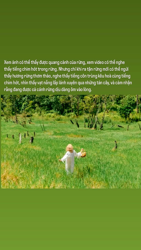 Archived image from @peaceplusyou on Instagram