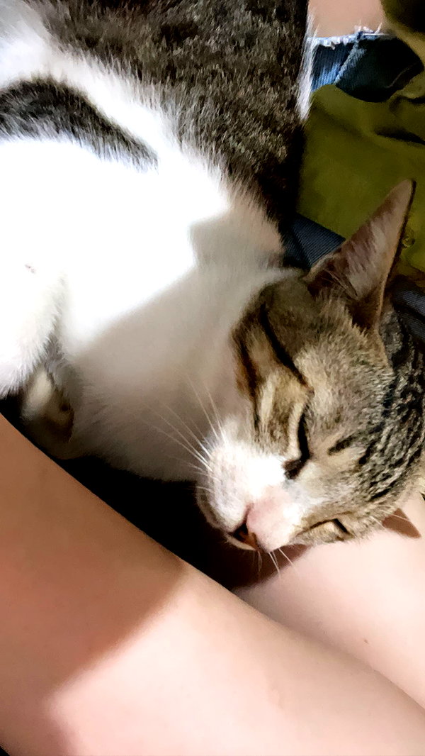 liliashaked instagram image archive image