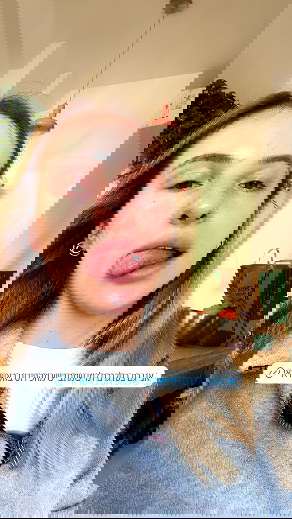 iambohema.v2 iambohema.v2 archive image