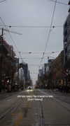 biton__adi Altpins Profile Picture