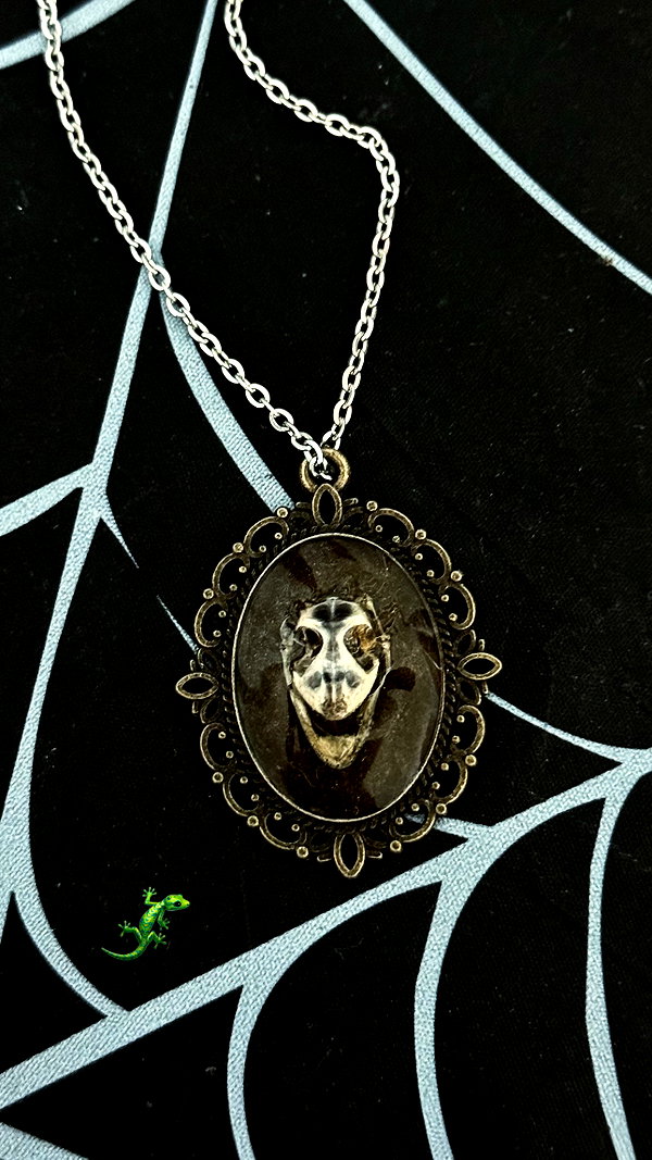 vampiryska archive image