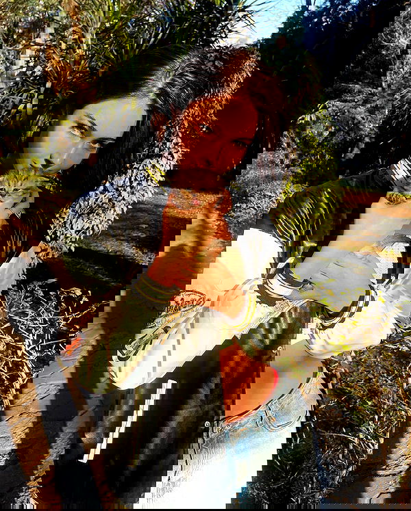 taylor.creeden taylor.creeden archive image