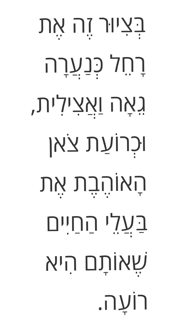 efrat_elmalich instagram image archive image