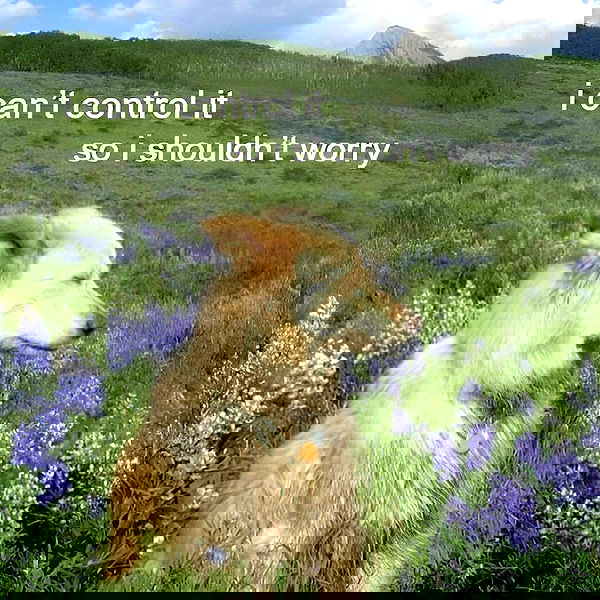 efrat_elmalich efrat_elmalich archive image