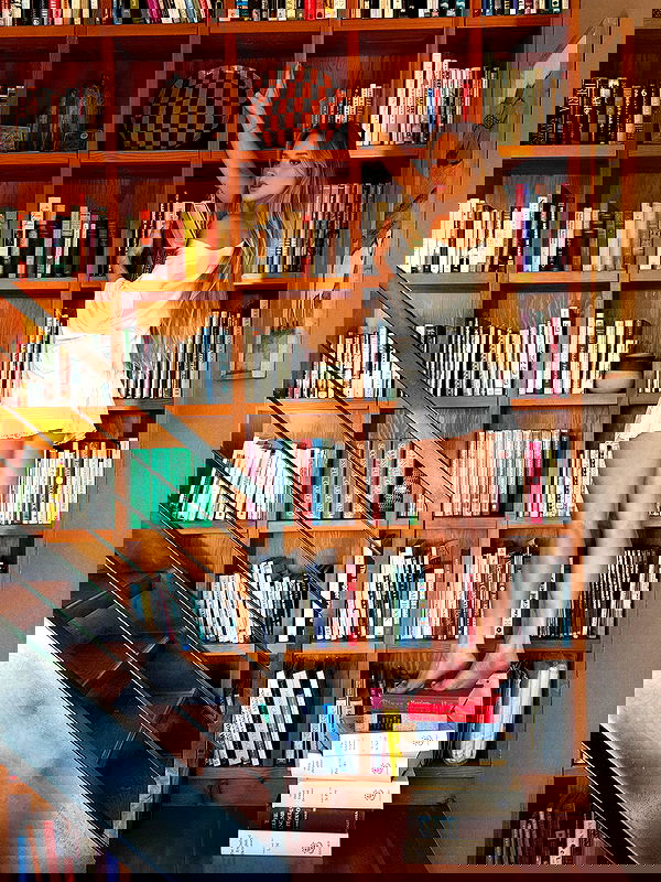 carolinezalog carolinezalog archive image