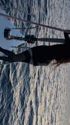 meiiisame Altpins Profile Picture