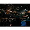 adele Altpins Profile Picture